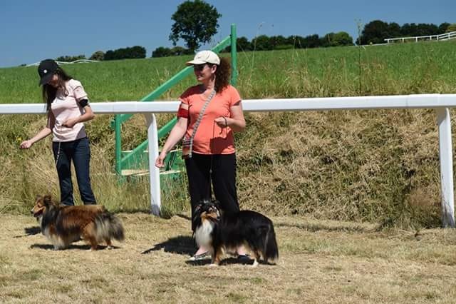 Jaïro Des Doudous De La Grave - Excellent - classe intermédiaire