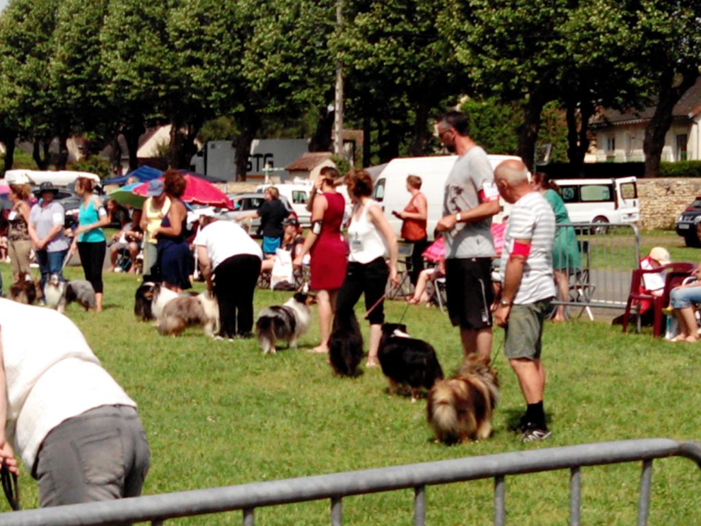 Jaïro Des Doudous De La Grave - Excellent non classé