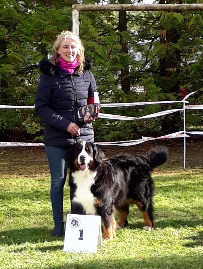 CH. Ichka du hameau des baronnies - 1er EXCELLENT - CACS - BOB (Meilleur de race) - CHAMPIONNE DE FRANCE