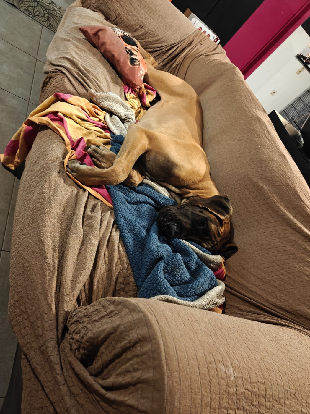 Publication : Du Clos D'Héra