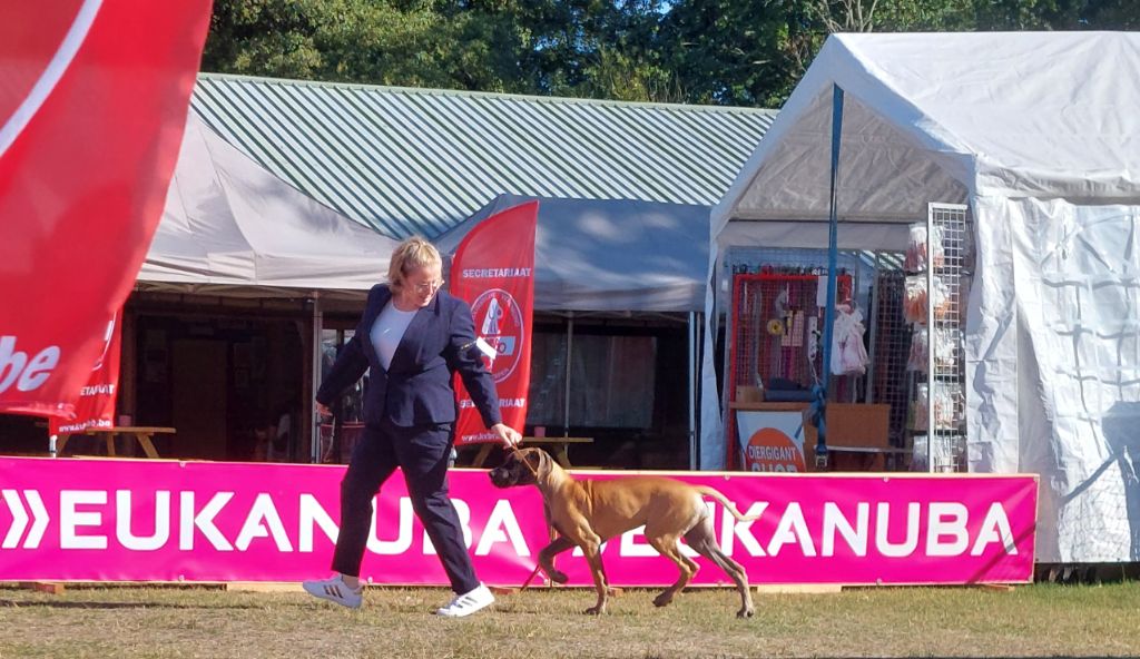 Publication : Du Clos D'Héra