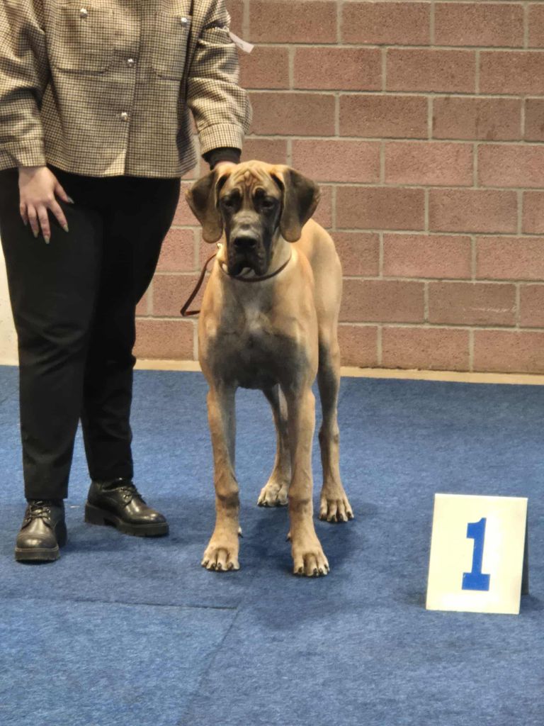 Publication : Du Clos D'Héra