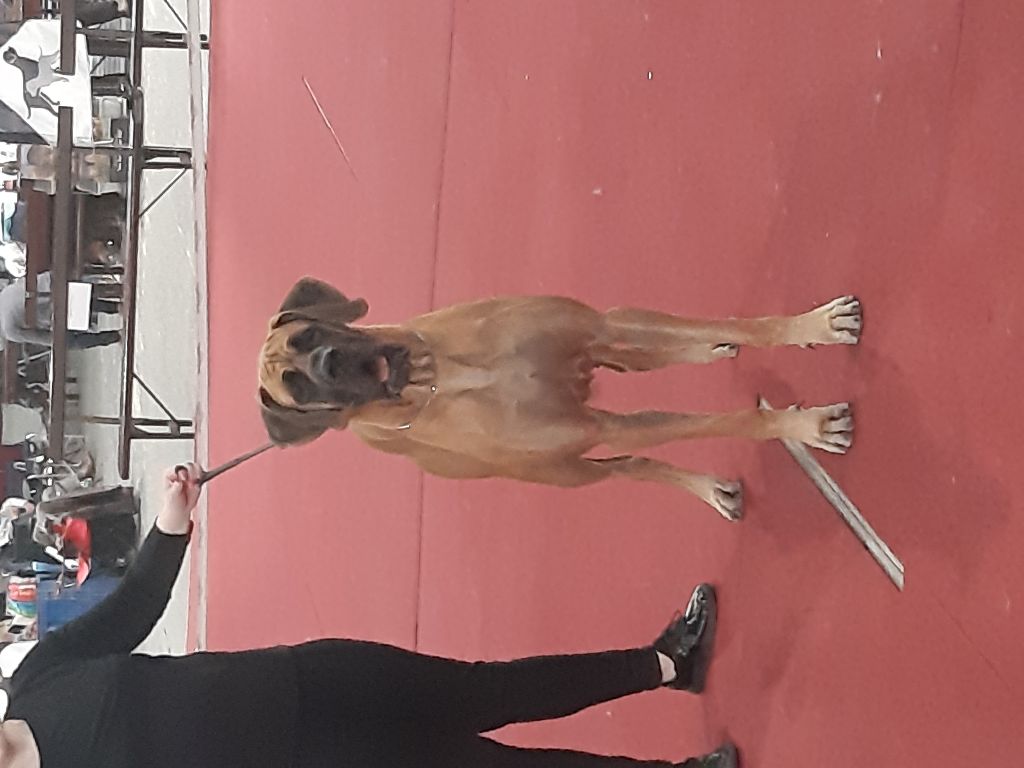 J.ch.b. pêche Du Clos D'Héra - 1 très bon