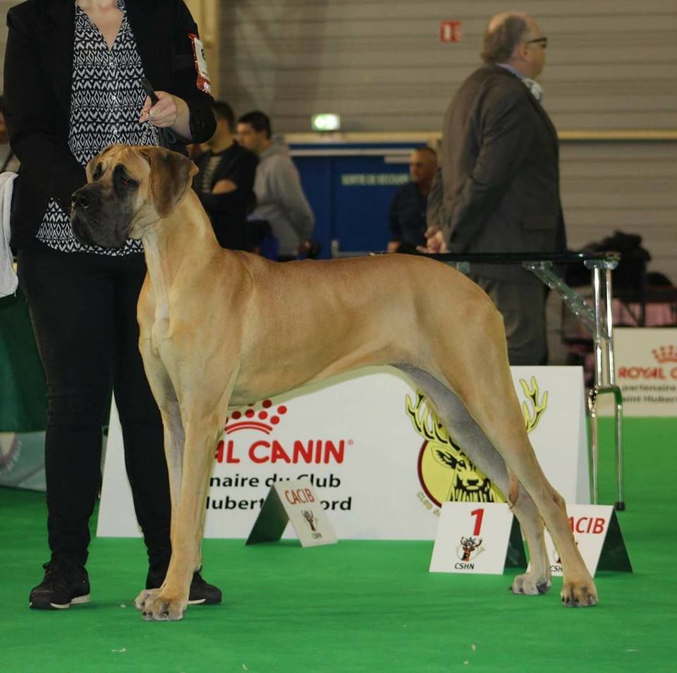 J.ch.b. pêche Du Clos D'Héra - 1 Tres Bon