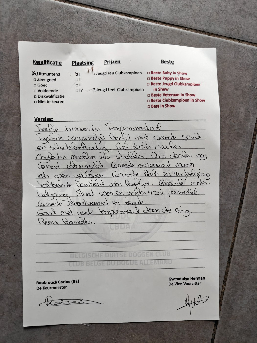 Yndomptable rose - yméa Du Clos D'Héra - 1 exc - meilleure jeune fauve