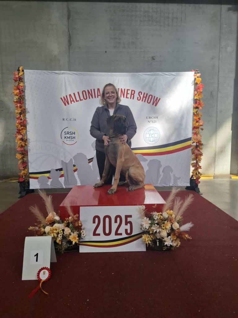 Yndomptable rose - yméa Du Clos D'Héra - 1 très prometteur- Meilleur baby