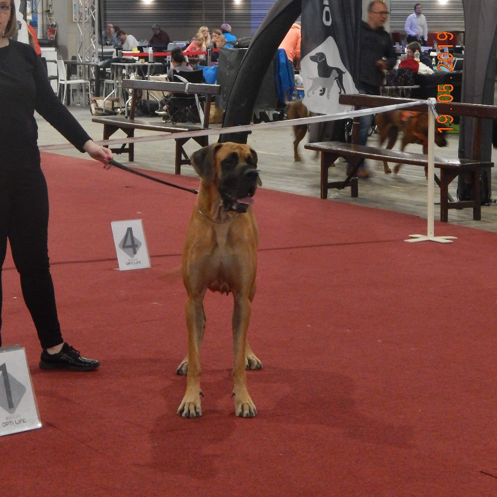 J.ch.b. pêche Du Clos D'Héra - 1 excellent