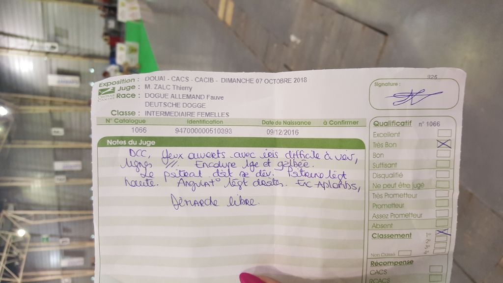 J.ch.b. pêche Du Clos D'Héra - 1 très bon