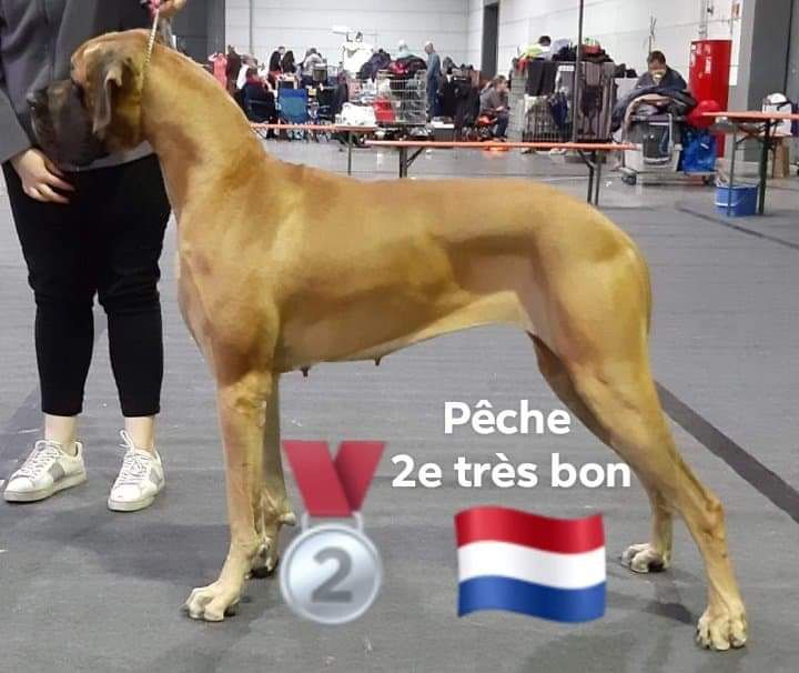 J.ch.b. pêche Du Clos D'Héra - 2 très bon