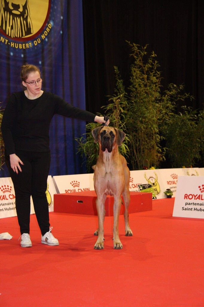 J.ch.b. pêche Du Clos D'Héra - 1 excellent