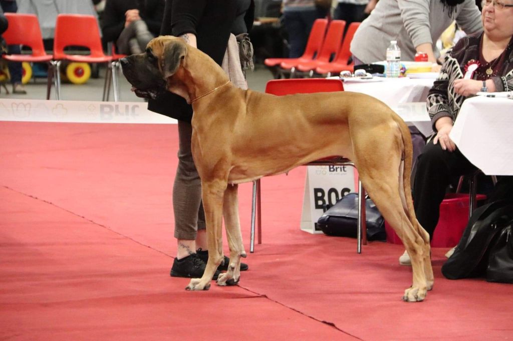 J.ch.b. pêche Du Clos D'Héra - 1 Tres Bon