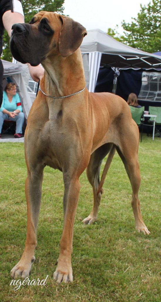 J.ch.b. pêche Du Clos D'Héra - 1 très bon