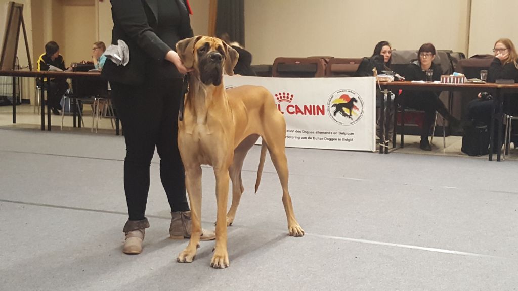 J.ch.b. pêche Du Clos D'Héra - 2 très bon