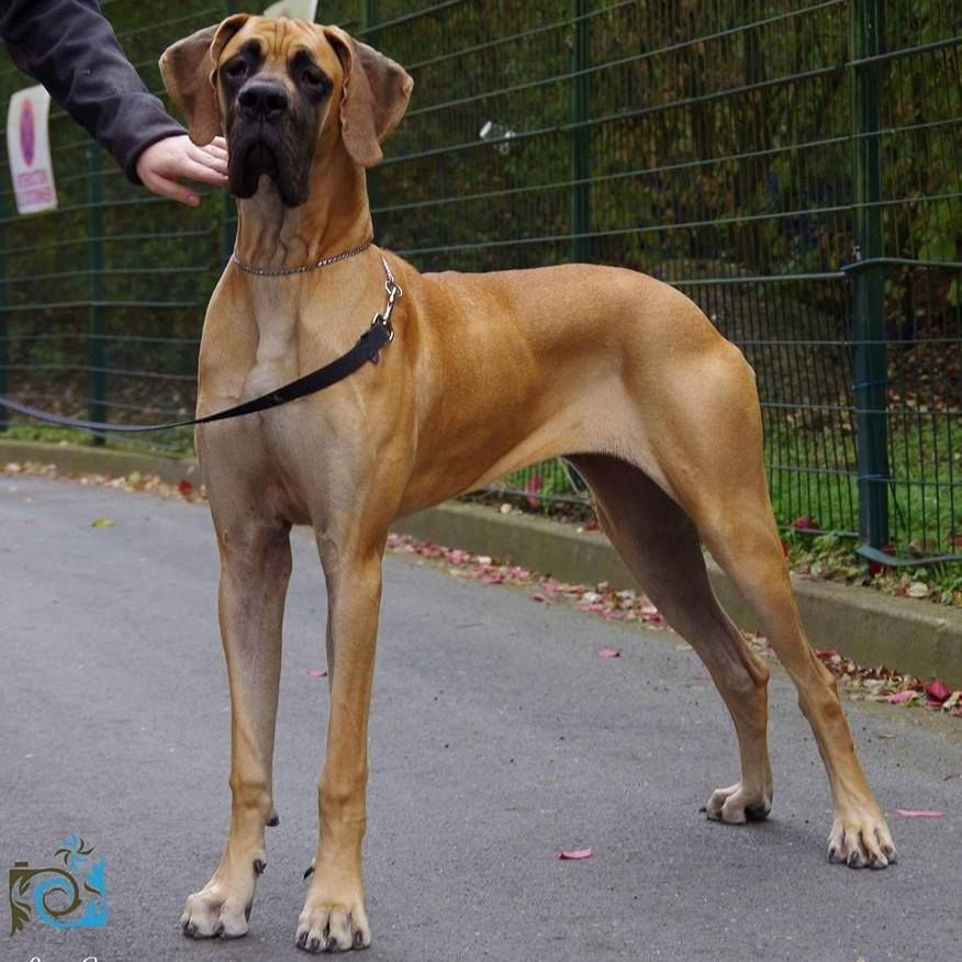 J.ch.b. pêche Du Clos D'Héra - 1 Tres Bon