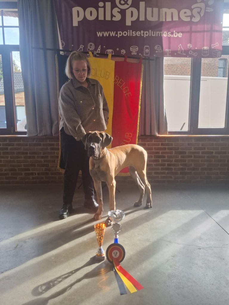 Yndomptable rose - yméa Du Clos D'Héra - 1 très prometteur- Meilleur baby - 2eme ring d honneur