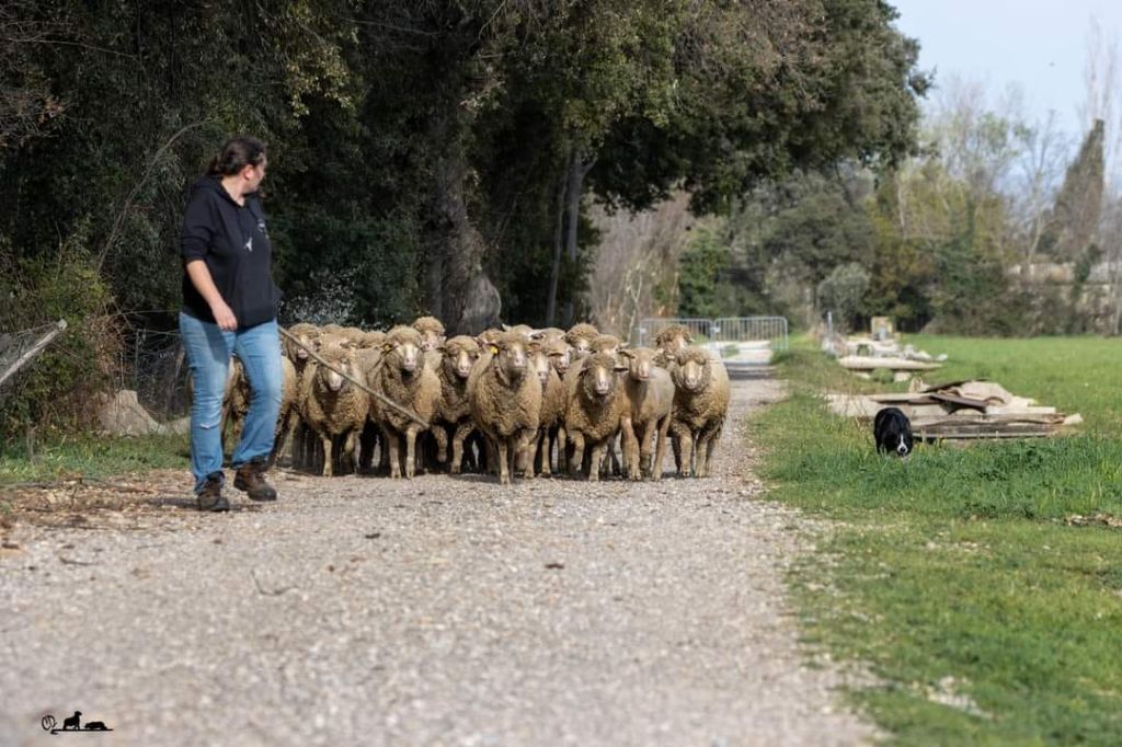 Oona du clocher tord - 2ème Très Bon