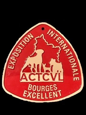 No try no gain De Celtic's Madinina - 4éme Excellente,Intermédiaire