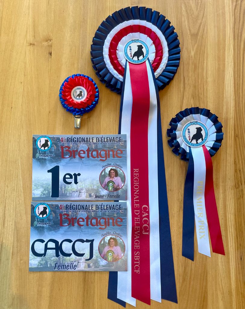 Unity De Celtic's Madinina - 1 ère Excellente, CACJ