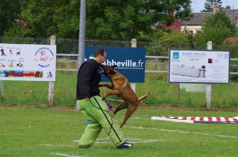 Arkouna Dream's G'amazone dite louna