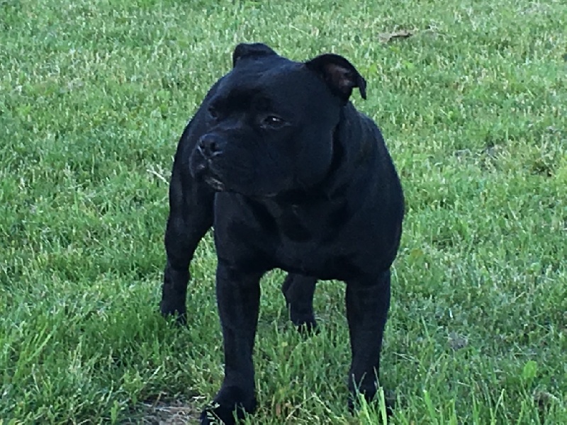 Publication : Du Centre Del Mon