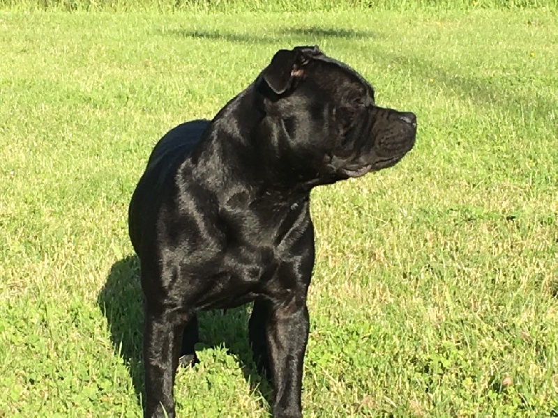 Publication : Du Centre Del Mon