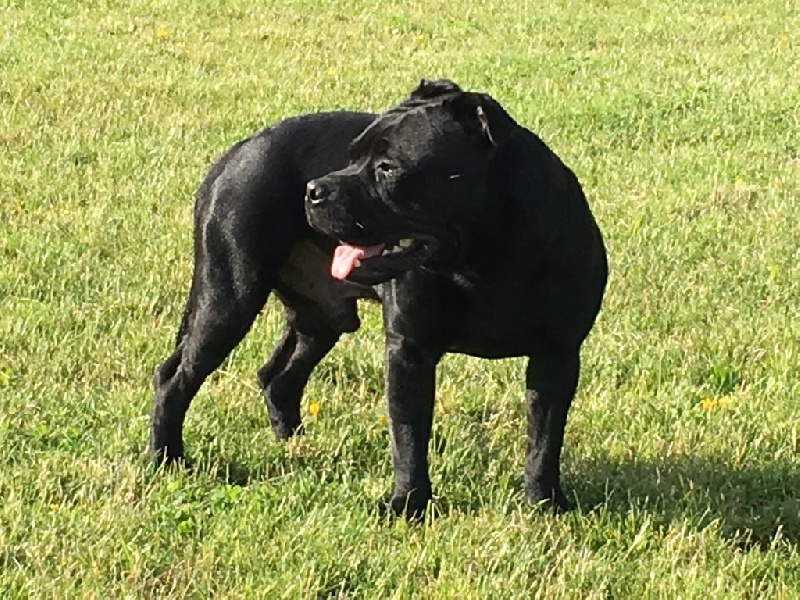 Publication : Du Centre Del Mon