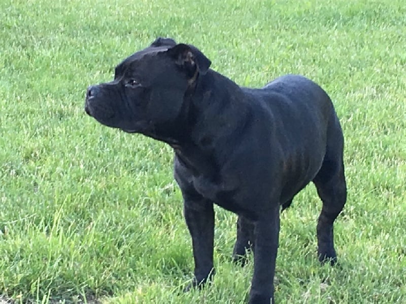 Publication : Du Centre Del Mon