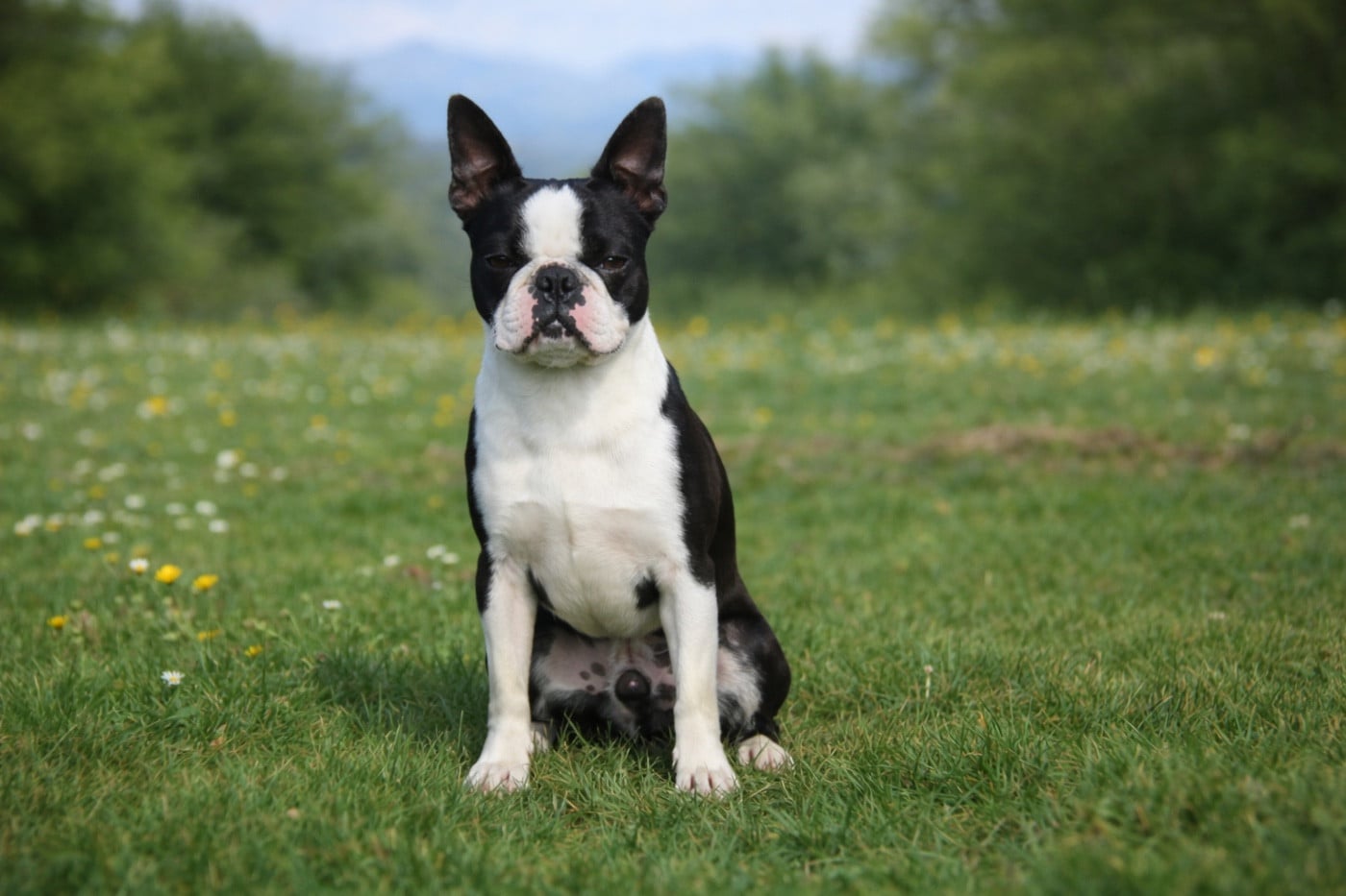 Publication : Chan Chue