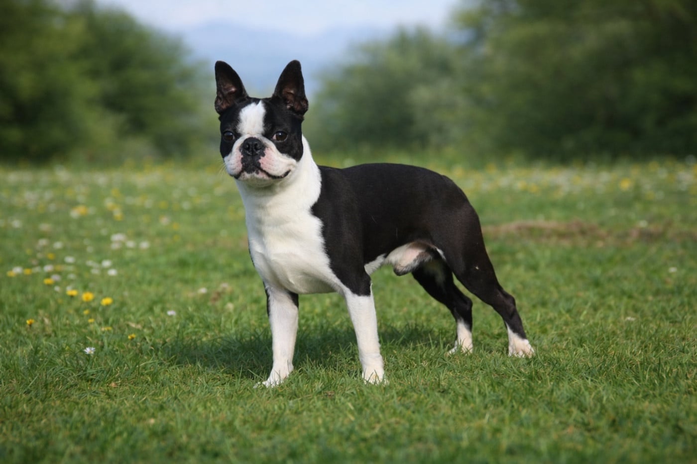 Publication : Chan Chue