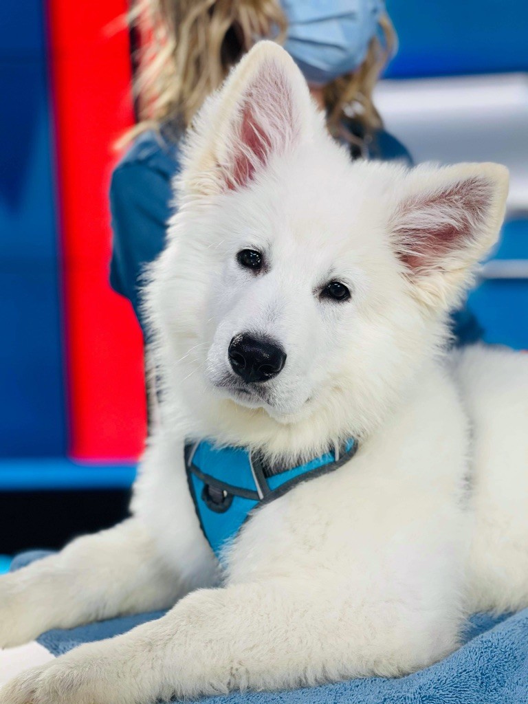 Publication : Chan Chue