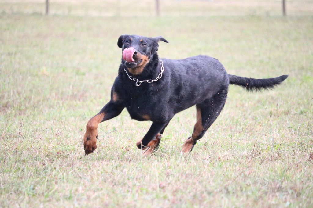 Publication : Of Gold In The Heart Auteur : Maréva RIBES