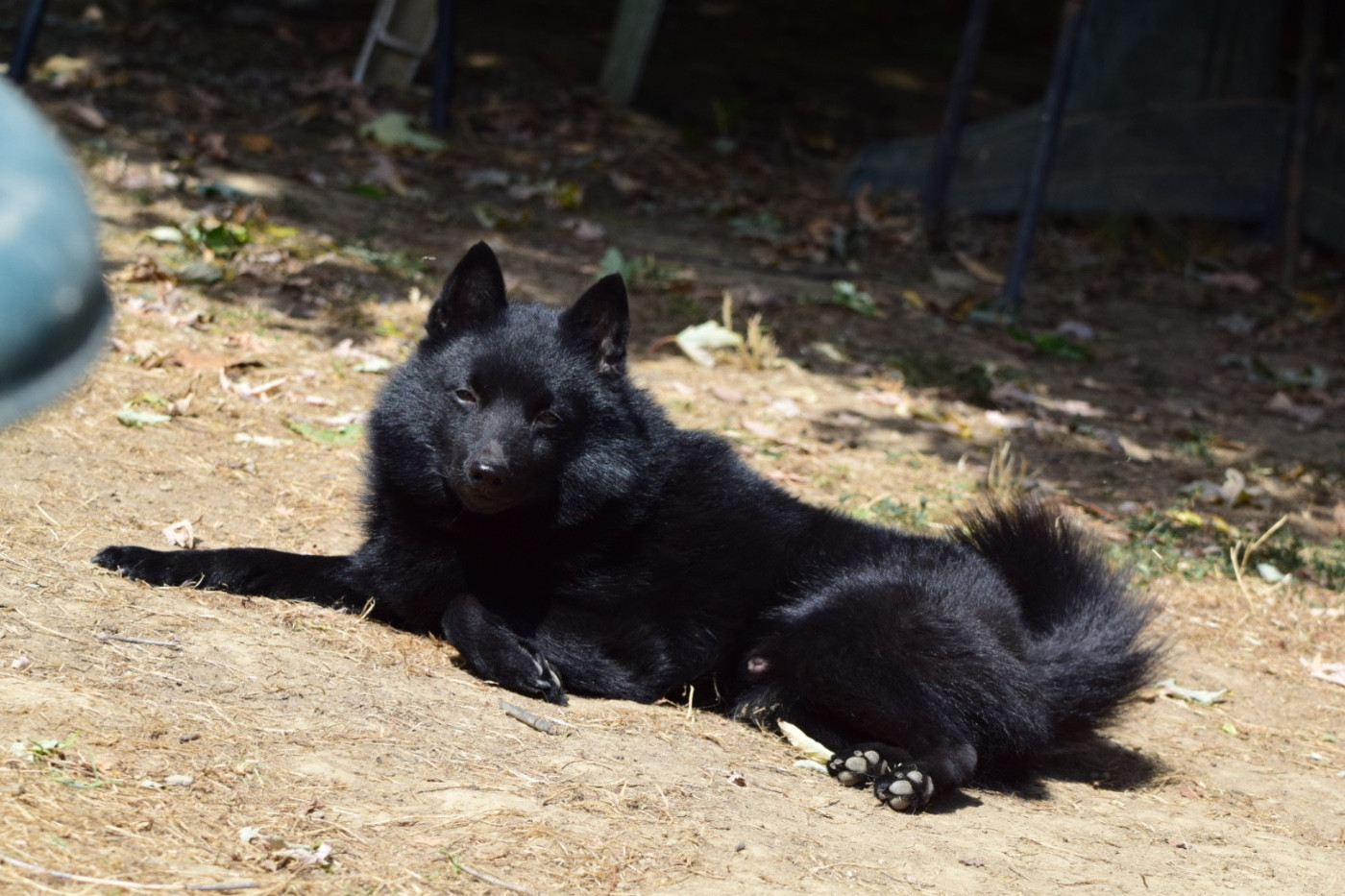 Underpressure  della val metauro