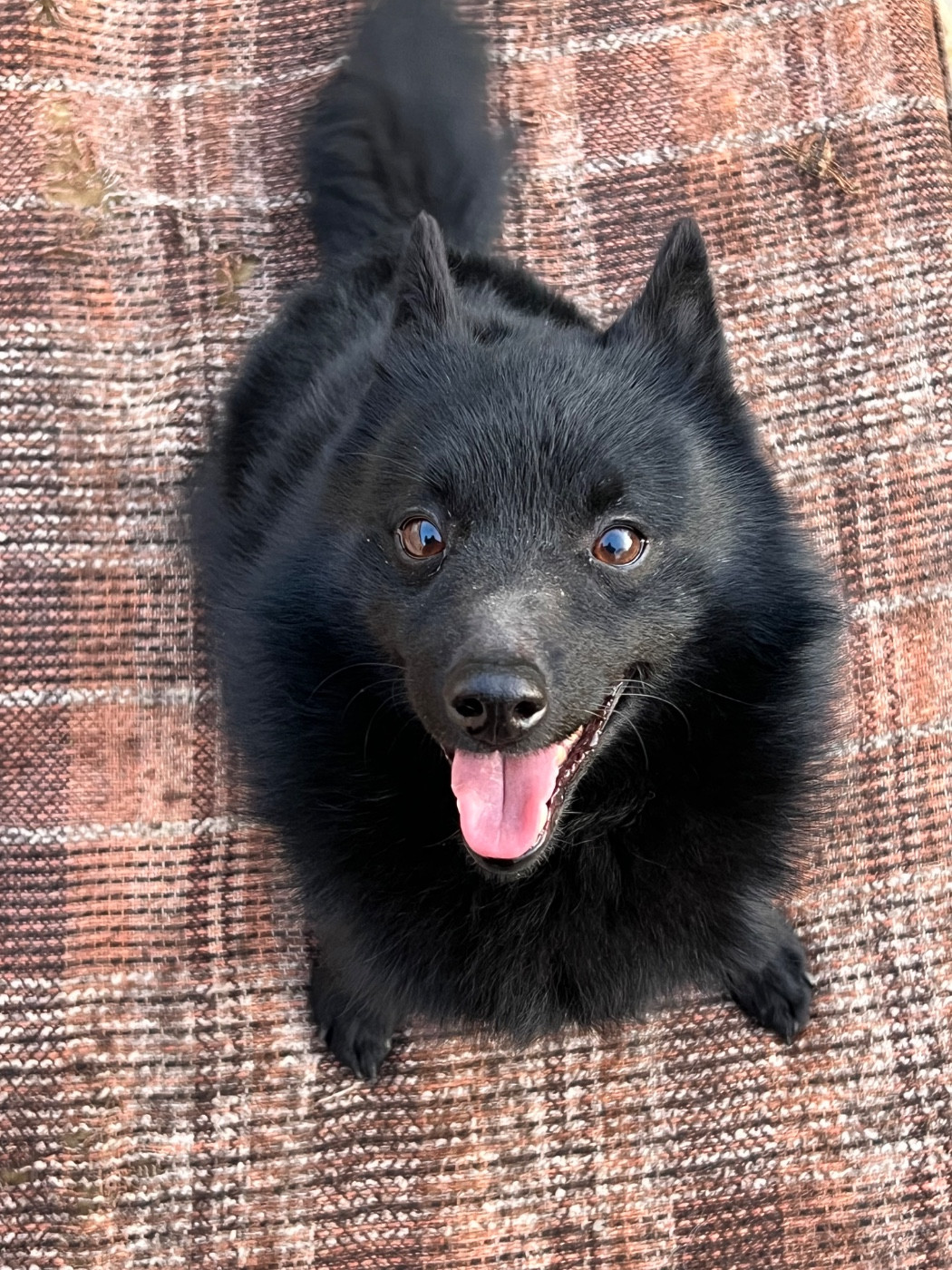 Underpressure  della val metauro