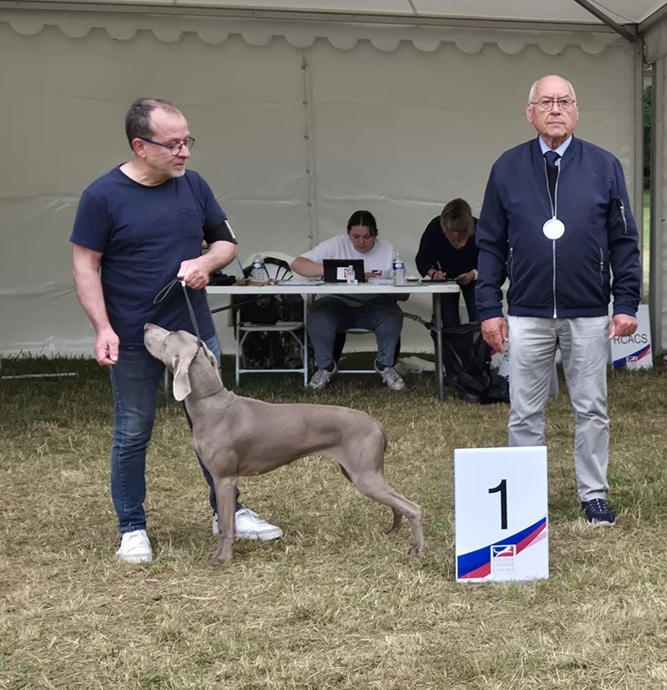 TR. Toska des Cendres du Gerfaut