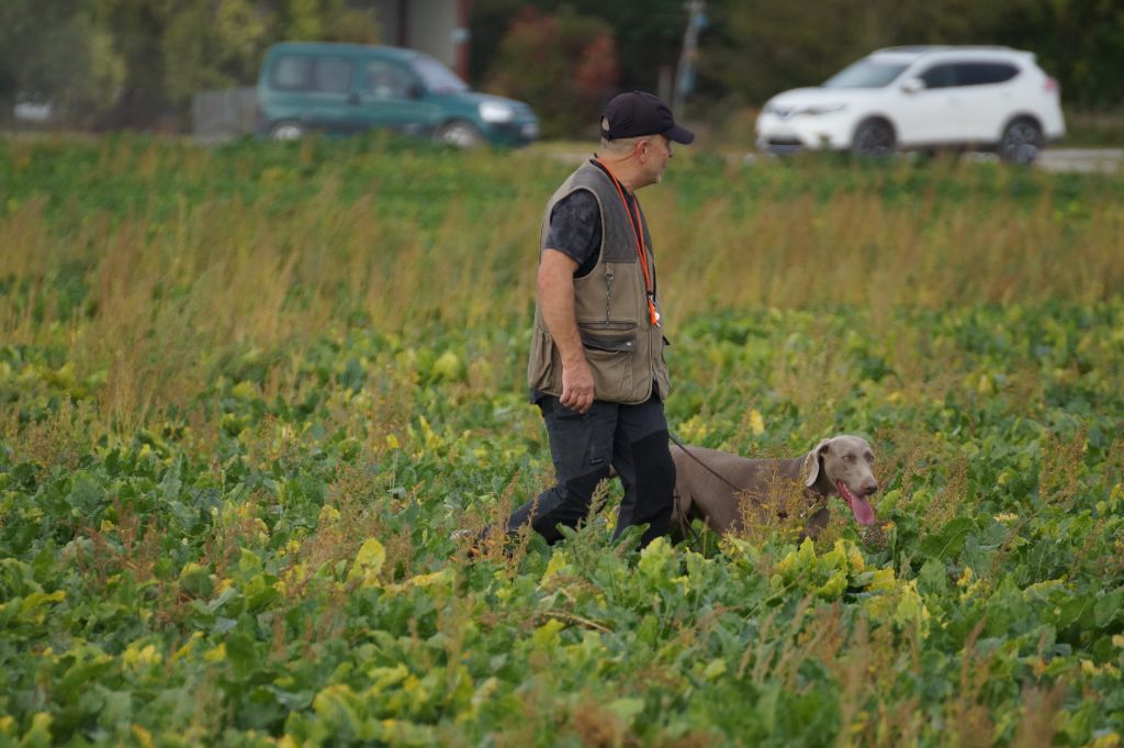 TR. Toska des Cendres du Gerfaut