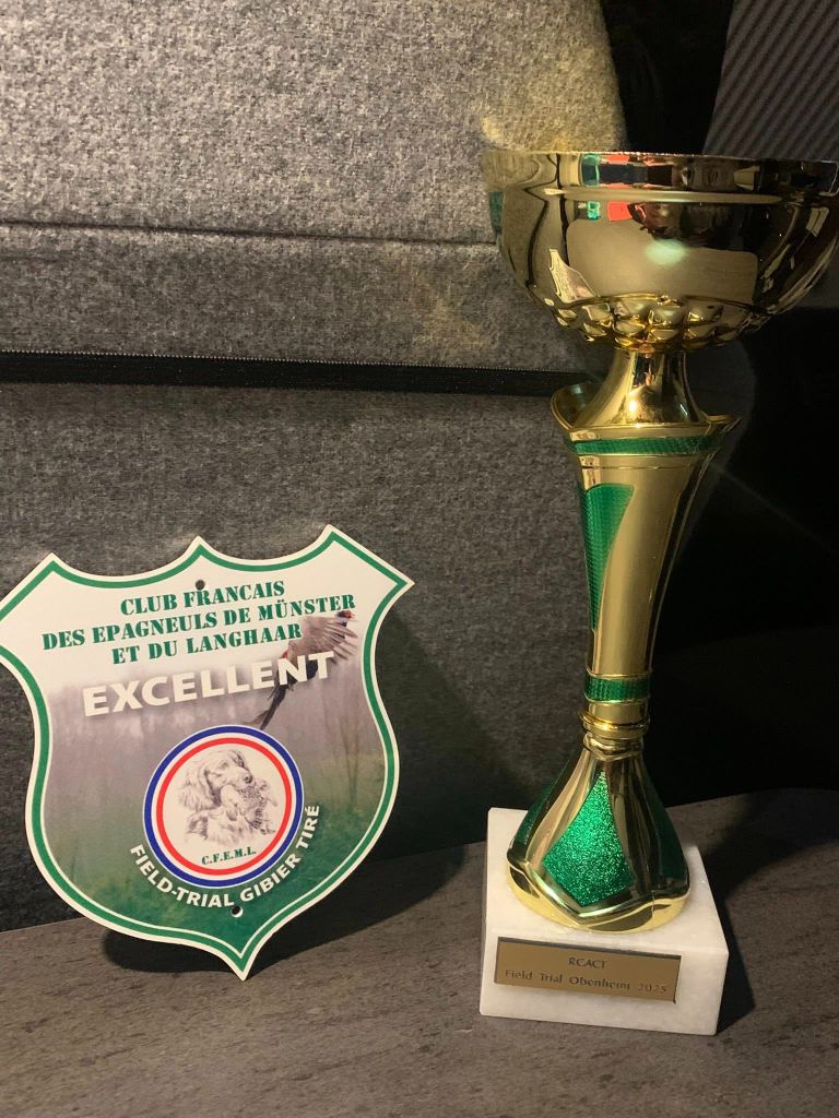 TR. Toska des Cendres du Gerfaut - 3ème EXCELLENT