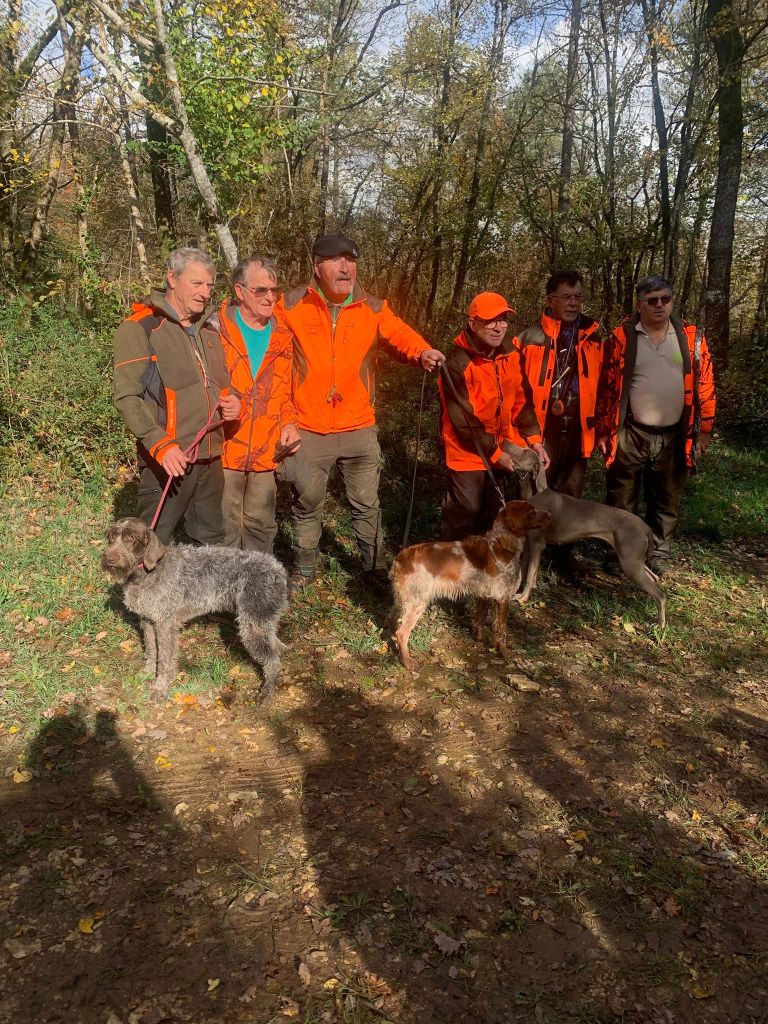 TR. Toska des Cendres du Gerfaut - 3ème EXCELLENT