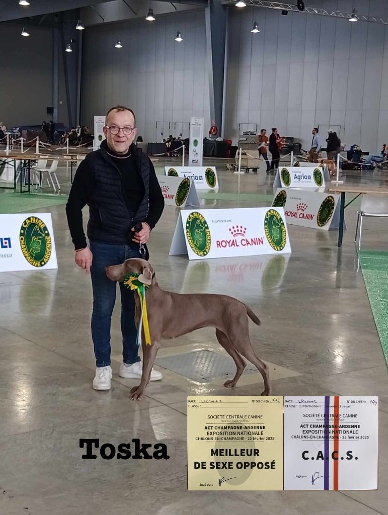 TR. Toska des Cendres du Gerfaut - CACS et Meilleur de sexe opposée