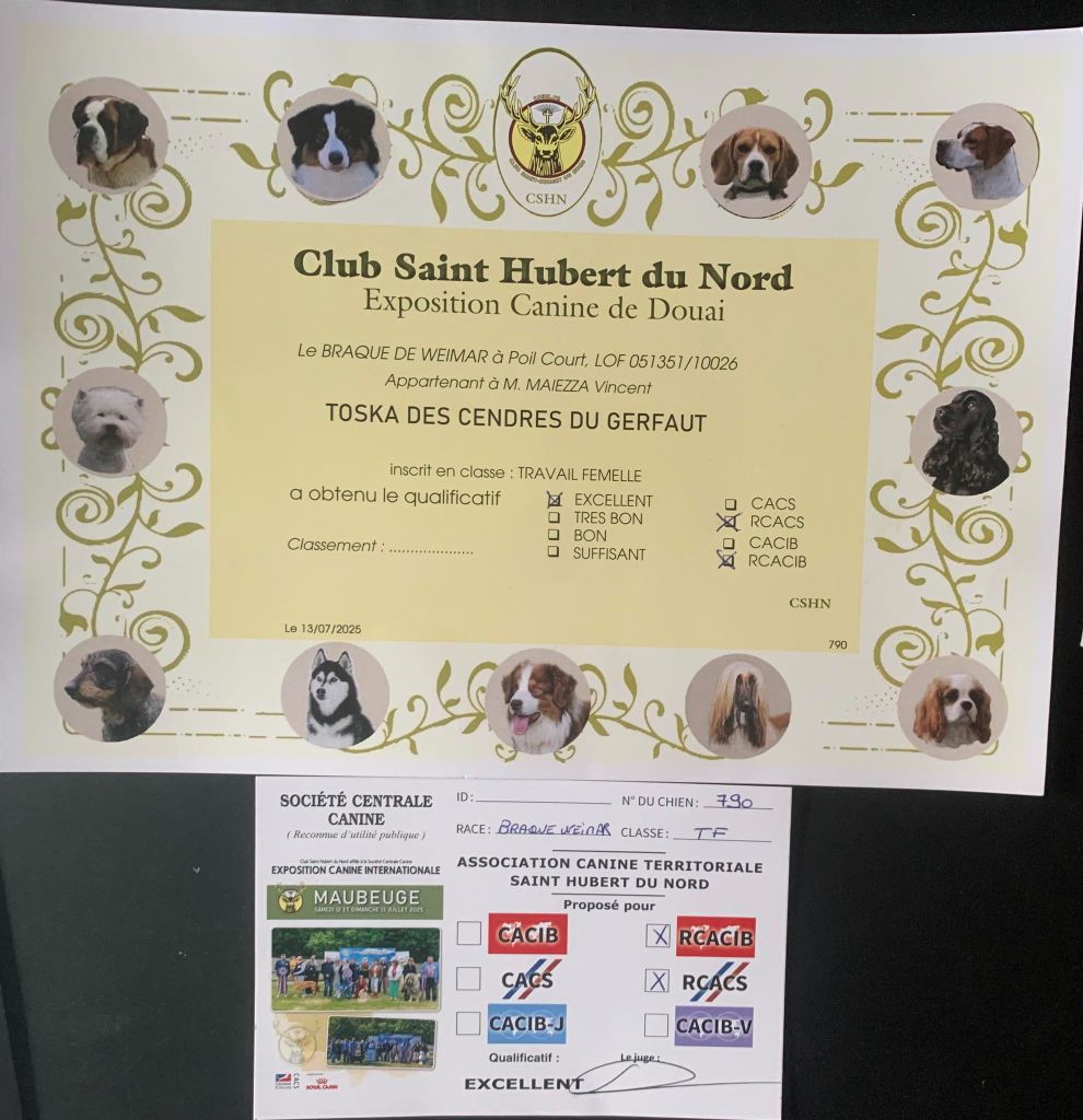 TR. Toska des Cendres du Gerfaut - RCACS et RCACIB