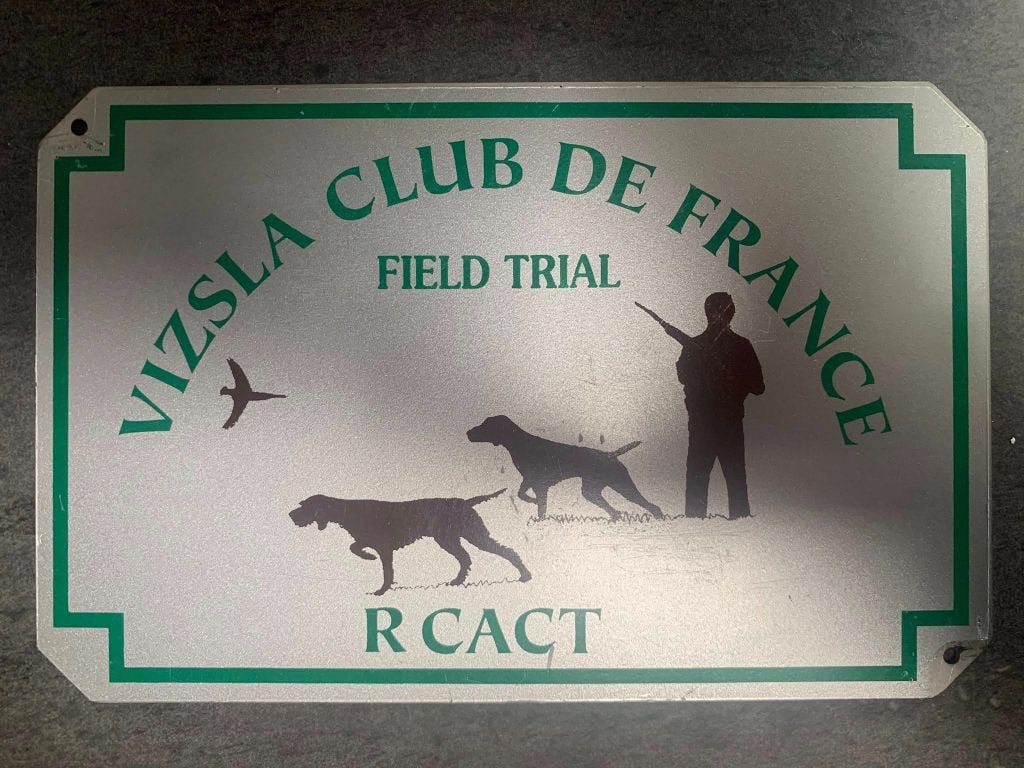 TR. Toska des Cendres du Gerfaut - RCACT