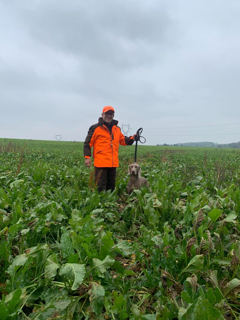 TR. Toska des Cendres du Gerfaut - TRES BON
