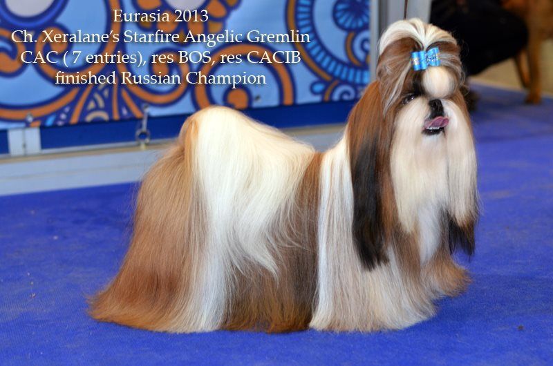 Publication : Shireen El Sham