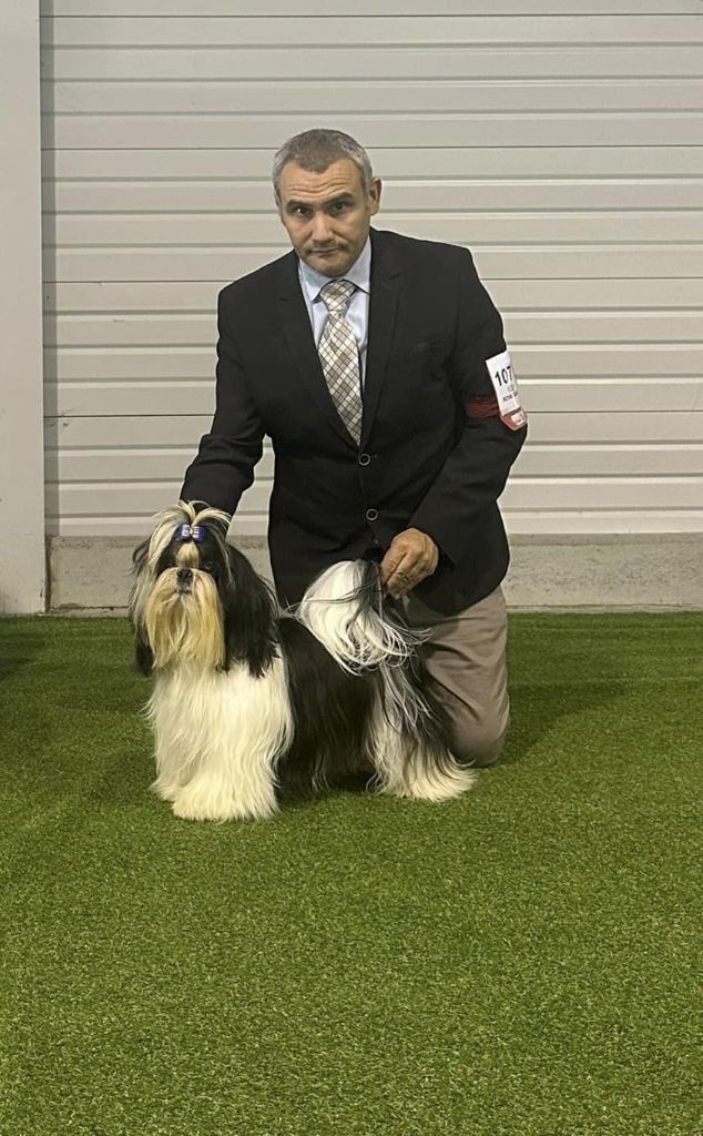 Publication : Shireen El Sham