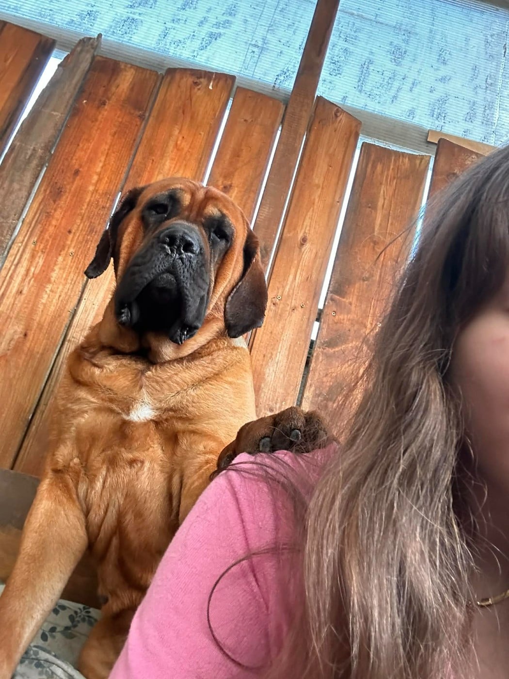 To the moon and back Du Mont Des Géants