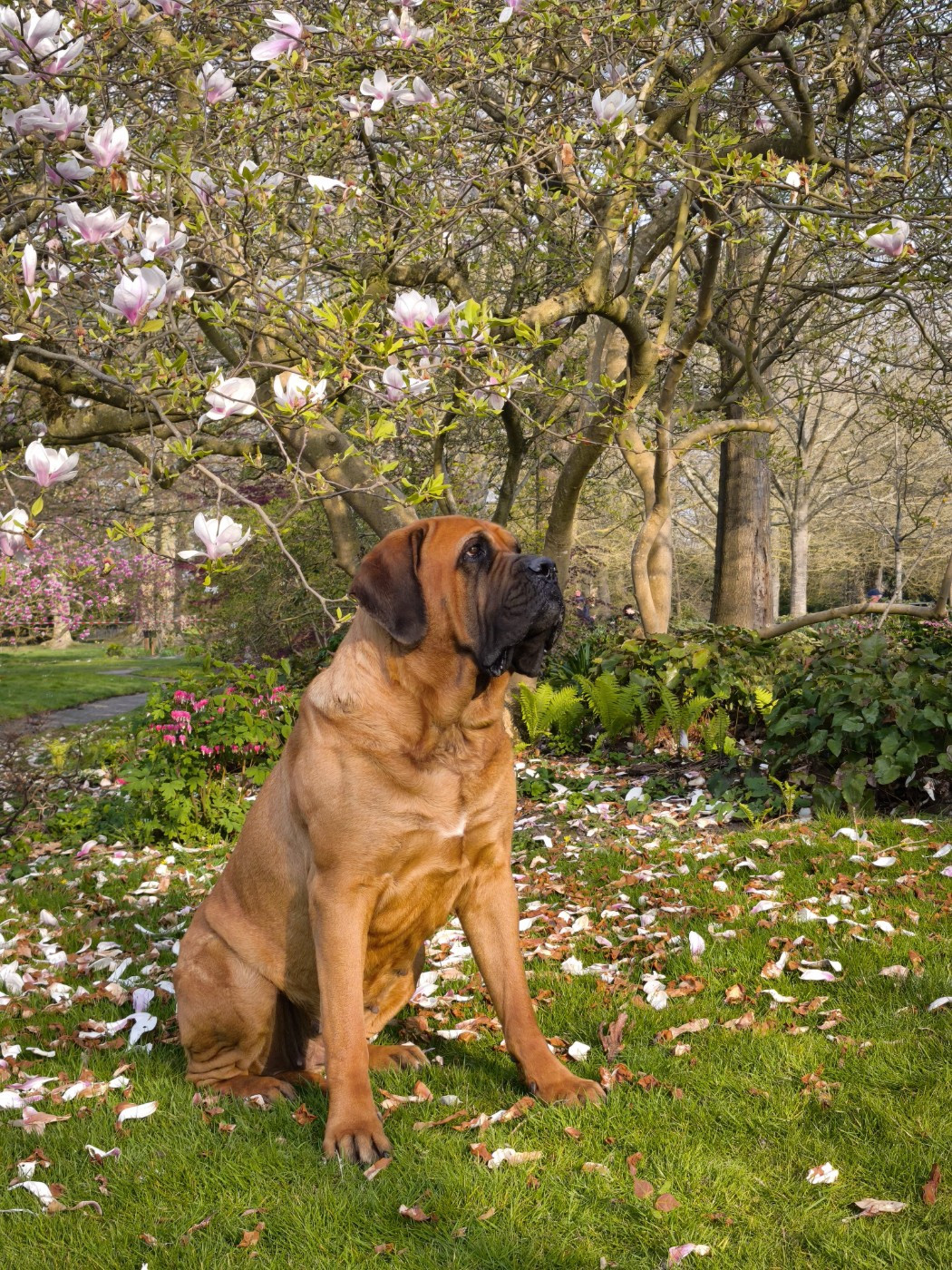 To the moon and back Du Mont Des Géants