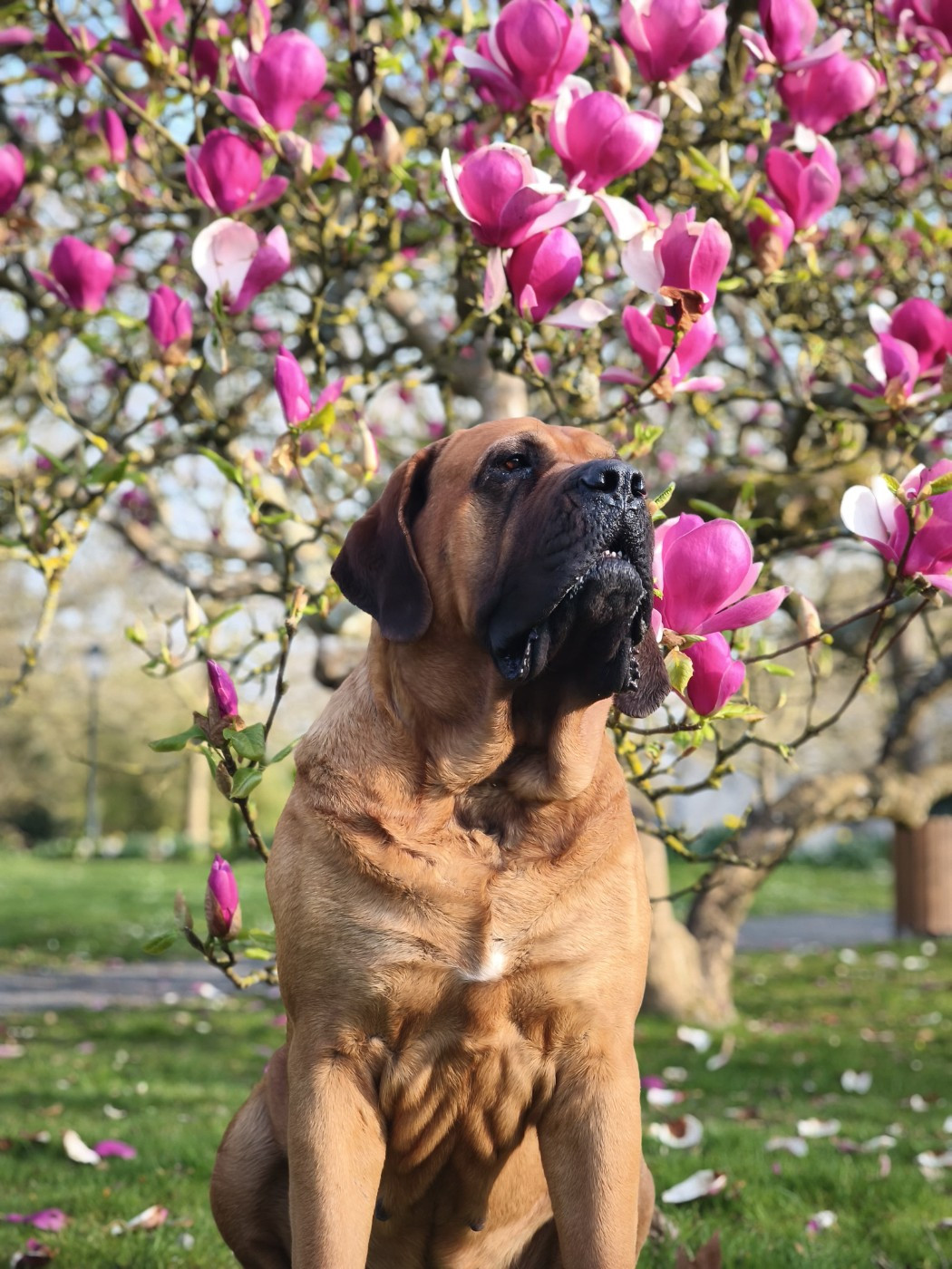 To the moon and back Du Mont Des Géants