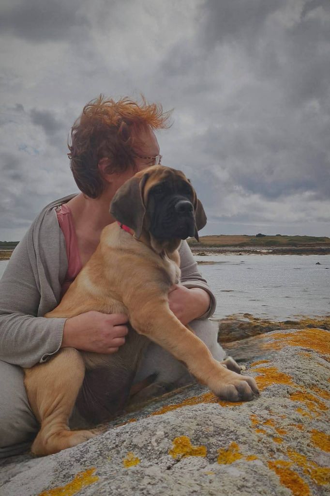 All you need is love Du Mont Des Géants