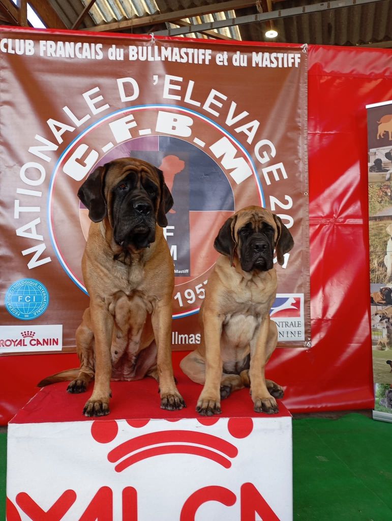 All you need is love Du Mont Des Géants