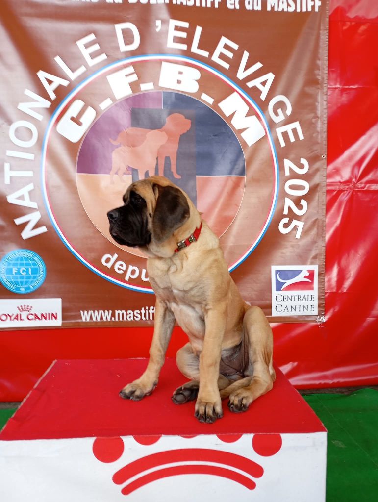 All you need is love Du Mont Des Géants