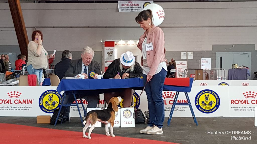 Hunters Of Dreams Nice coquine - Classe puppy 1ere très prometteur